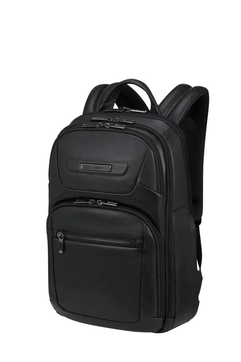 Samsonite Selection Pro-DLX Leather Backpack