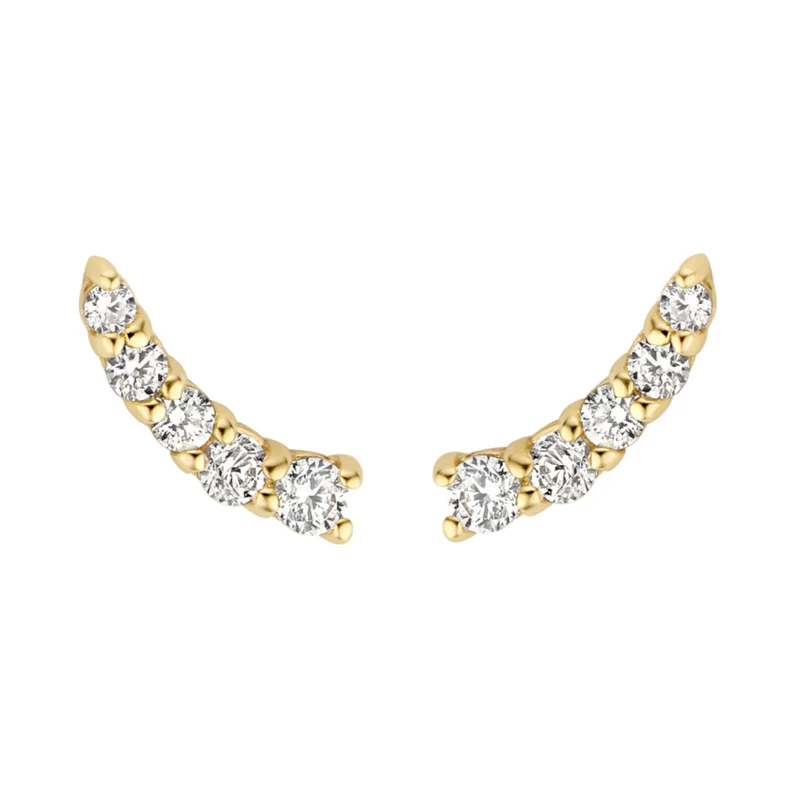 Blush damen Ohrringe 585 Gold 7319YZI