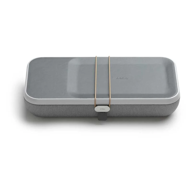 Nest v2 | Kabellose Ladetasche